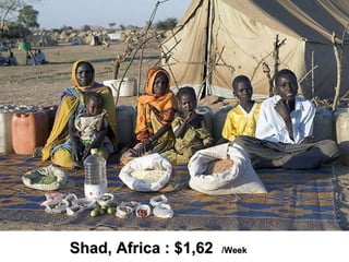 Shad, Africa : $1,62  / Week 