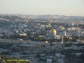 הנוף הנשקף מבית הכנסת 