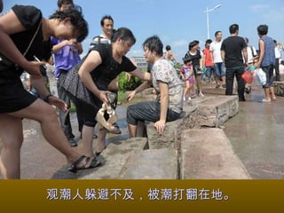 观潮人躲避不及，被潮打翻在地。 