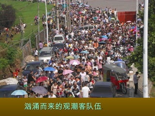 汹涌而来的观潮客队伍 。 