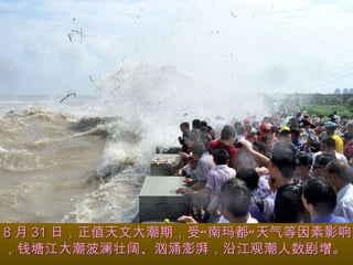 8 月 31 日，正值天文大潮期，受“南玛都”天气等因素影响，钱塘江大潮波澜壮阔、汹涌澎湃，沿江观潮人数剧增。 