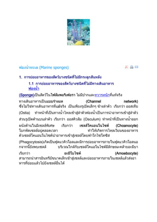 ไฟลัมพอริเฟอรา