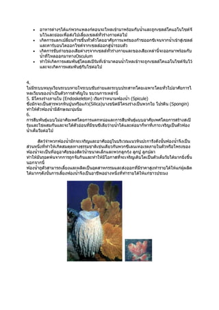 ไฟลัมพอริเฟอรา