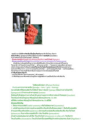 ไฟลัมพอริเฟอรา