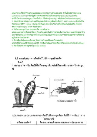 ไฟลัมพอริเฟอรา