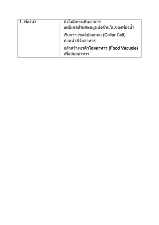 ไฟลัมพอริเฟอรา