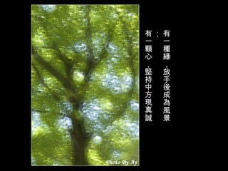 有一種緣，放手後成為風景； 有一顆心，堅持中方現真誠。   