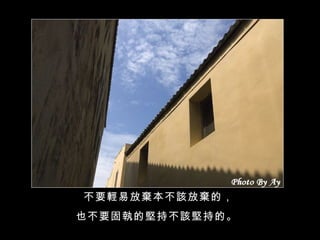 不要輕易放棄本不該放棄的， 也不要固執的堅持不該堅持的。   