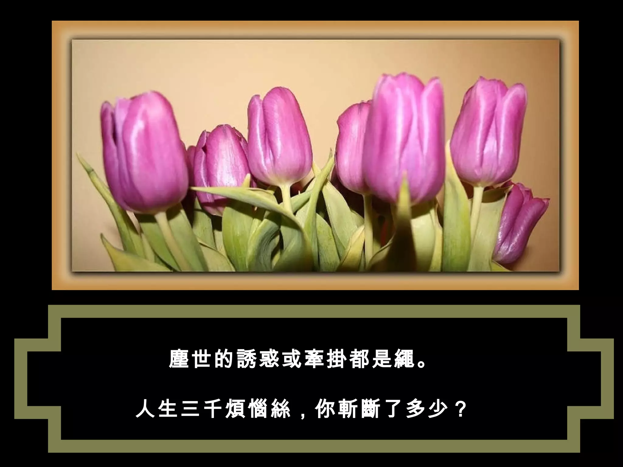 塵世的誘惑或牽掛都是繩。 人生三千煩惱絲，你斬斷了多少？ 