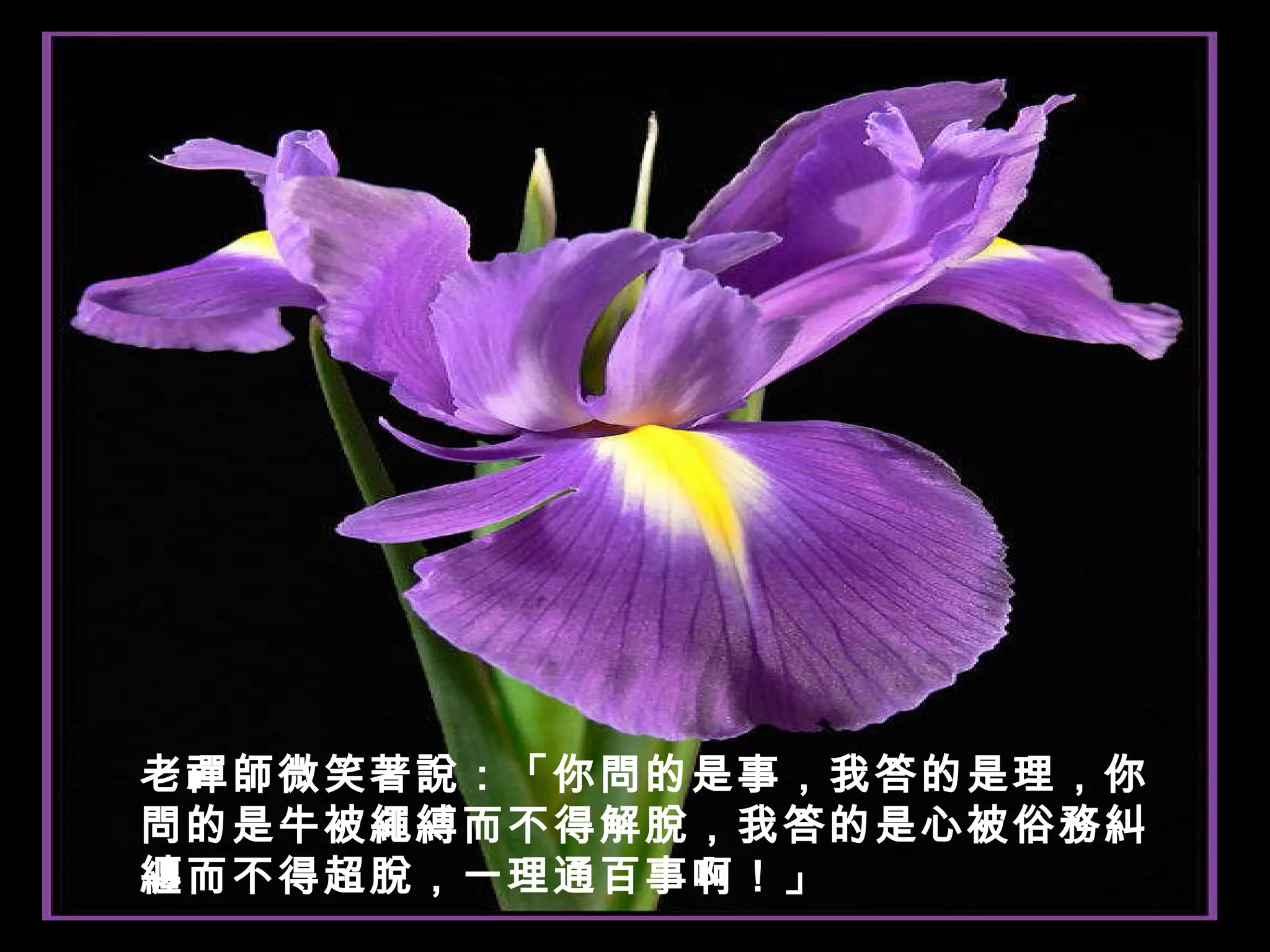 老禪師微笑著說：「你問的是事，我答的是理，你問的是牛被繩縛而不得解脫，我答的是心被俗務糾纏而不得超脫，一理通百事啊！」 