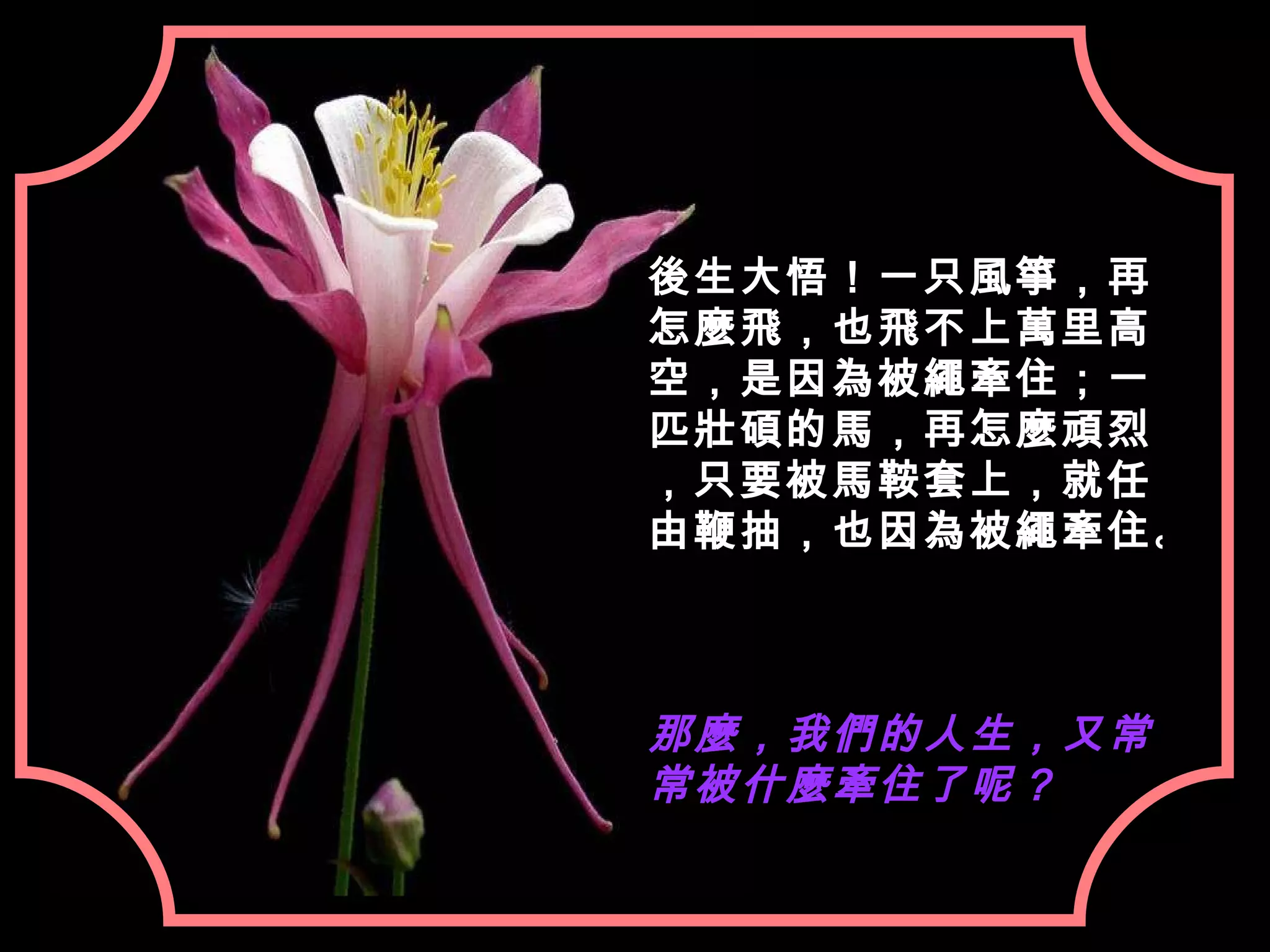 後生大悟！一只風箏，再怎麼飛，也飛不上萬里高空，是因為被繩牽住；一匹壯碩的馬，再怎麼頑烈，只要被馬鞍套上，就任由鞭抽，也因為被繩牽住。 那麼，我們的人生，又常常被什麼牽住了呢？ 