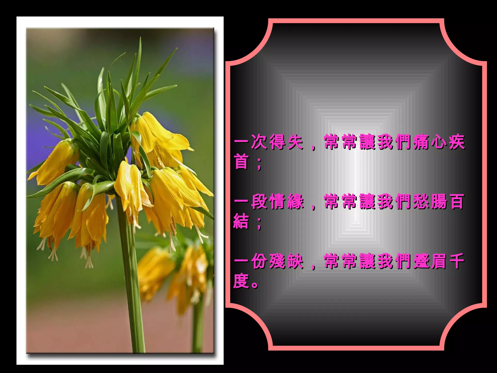 一次得失，常常讓我們痛心疾首； 一段情緣，常常讓我們愁腸百結； 一份殘缺，常常讓我們蹙眉千度。 