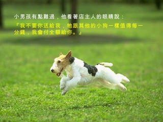 小男孩有點難過，他看著店主人的眼睛說：   『我不要你送給我，牠跟其他的小狗一樣值得每一分錢，我會付全額給你。』   