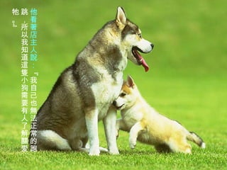 他看著店主人說： 『我自己也無法正常的跑跳，所以我知道這隻小狗需要有人了解關愛牠。』 