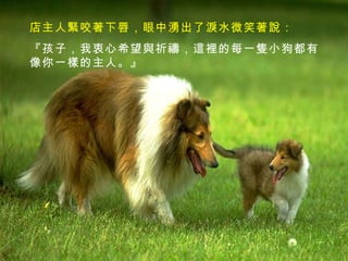 店主人緊咬著下唇，眼中湧出了淚水微笑著說： 『孩子，我衷心希望與祈禱，這裡的每一隻小狗都有像你一樣的主人。』 