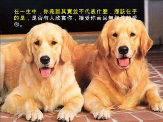 在一生中，你是誰其實並不代表什麼，應該在乎的是， 是否有人欣賞你，接受你而且無條件的愛你。   