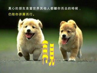 真心的朋友是當世界其他人都離你而去的時候， 仍陪你併肩而行。   再見 