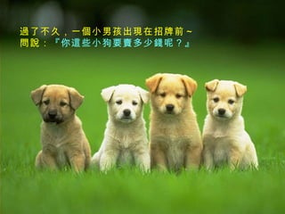 過了不久，一個小男孩出現在招牌前～  問說： 『你這些小狗要賣多少錢呢？』   