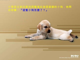 小男孩立刻注意到那隻落在後面跛腳的小狗，他問店老闆： 『這隻小狗怎麼了？』   