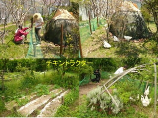 チキントラクター




2011/9/26              40
 
