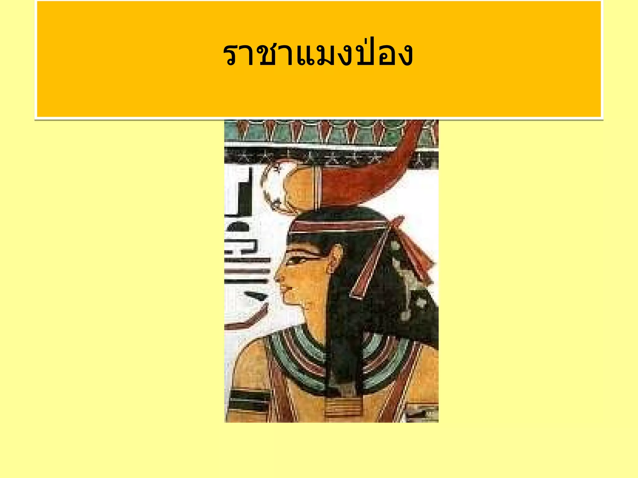 ราชาแมงป่อง 