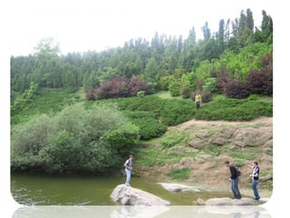 софиевский парк