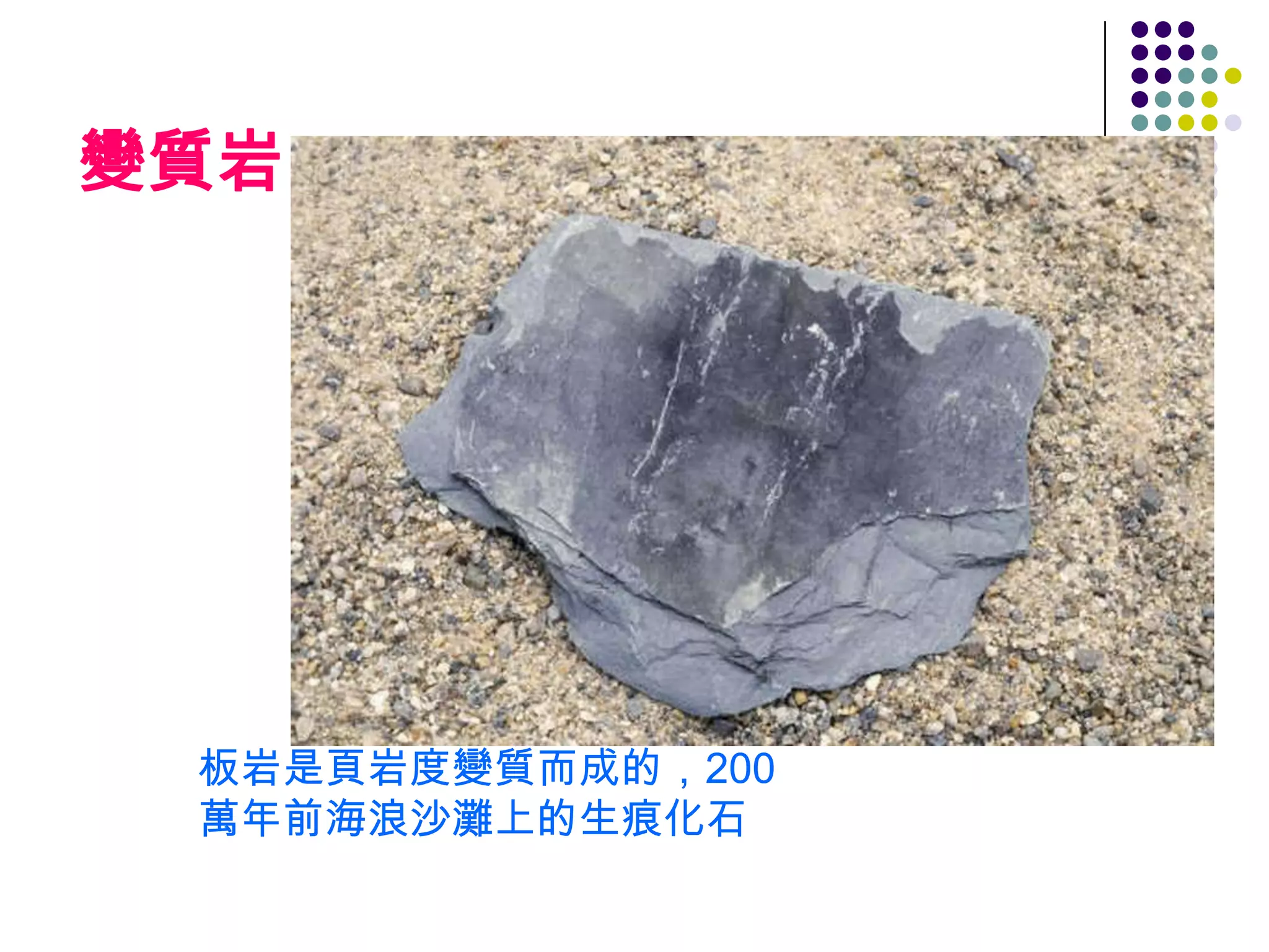 變質岩板岩是頁岩度變質而成的，200萬年前海浪沙灘上的生痕化石