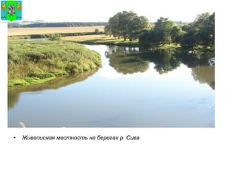 Живописная местность на берегах р. Сива 