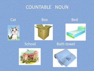COUNTABLE   NOUN      Cat                           Box                         Bed                      School                      Bath towel 
