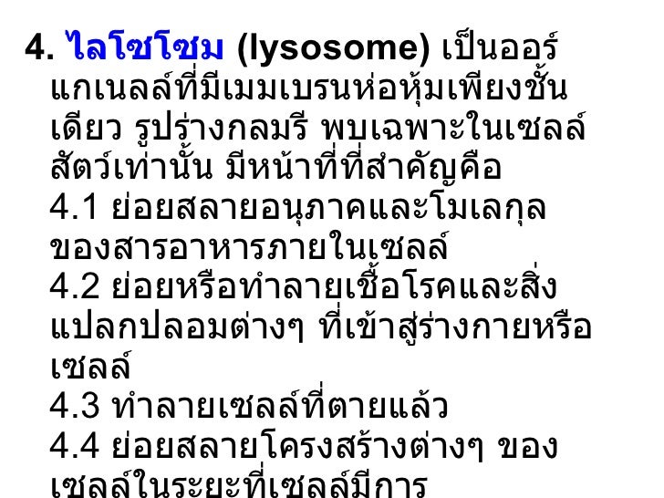 เซลล์