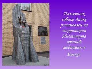 Памятник собаке Лайке установлен на территории Института военной медицины в Москве   
