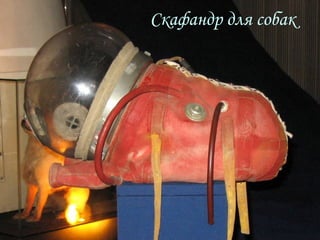 Скафандр для собак 