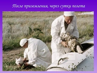 После приземления, через сутки полета 