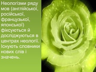 Неологізми ряду мов (англійської, російської, французької, японської) фіксуються й досліджуються в центрах неології. Існують словники нових слів і значень. 