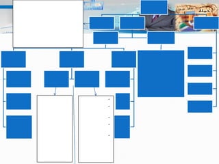 الفجر : ركعتان ، الظهر : أربعة بتشهدين، العصر: أربع بتشهدين، المغرب : ثلاث ركعات بتشهدين ، العشاء : ركعتين بتشهدين .رفع اليدين ـ وضع اليد اليمنى على اليسرى .النظر إلى موضع السجود ـ دعاء الافتتاح ـ الاستعاذة  ـ الجهر والاسرار في المواضع الخاصة ـ التأمين ـ قراة شيء من القران ـ  التكبير في الانتقالات ـالتسبيح في الركوع ـ والسجود وضع اليدين على أول الفخذين في التشهد ـ التورك في الجلسة الأخيرة والافتراش في غيرها ـ الصلاة الابراهيمية ـالتسليمة الثانية ـ الخشوع ـ 1-التشهد الأول .2-  الصلاة  على النبي عقب التشهدالأول.3- الجلوس للتشهد الأول.4- الصلاة على النبي بعد التشهد الأخير . 5- القنوت منالركعةا لثانية في صلاة الفجر ـآخر ركعة في النصف الثاني منر رمضان  .ـ الاعتدال في الركعةا الأخيرة عند النوازل 