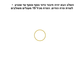 השלב הבא יהיה חיבור כדור נוסף ונוסף עד שנגיע לצורת פרח החיים .  הפרח מכיל  19  מעגלים משולבים   