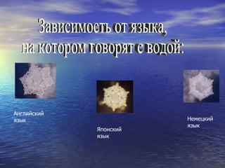 Зависимость от языка,  на котором говорят с водой: Английский язык Японский язык Немецкий язык 