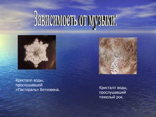 Зависимость от музыки: Кристалл воды, прослушавшей «Пастораль» Бетховена. Кристалл воды, прослушавшей тяжелый рок. 