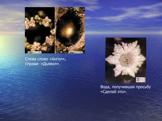 Слева слово «Ангел», справа- «Дьявол». Вода, получившая просьбу «Сделай это». 