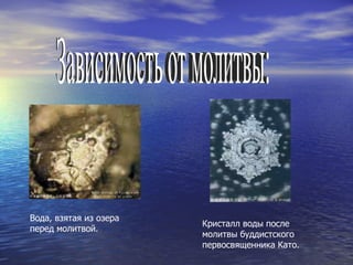 Зависимость от молитвы: Вода, взятая из озера перед молитвой. Кристалл воды после молитвы буддистского первосвященника Като.  