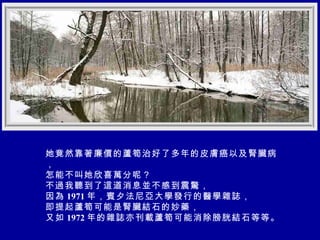 她竟然靠著廉價的蘆筍治好了多年的皮膚癌以及腎臟病， 怎能不叫她欣喜萬分呢？ 不過我聽到了這道消息並不感到震驚， 因為 1971 年，賓夕法尼亞大學發行的醫學雜誌， 即提起蘆筍可能是腎臟結石的妙藥， 又如 1972 年的雜誌亦刊載蘆筍可能消除膀胱結石等等。   