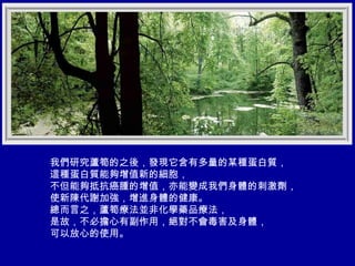 我們研究蘆筍的之後，發現它含有多量的某種蛋白質， 這種蛋白質能夠增值新的細胞， 不但能夠抵抗癌腫的增值，亦能變成我們身體的刺激劑， 使新陳代謝加強，增進身體的健康。 總而言之，蘆筍療法並非化學藥品療法， 是故，不必擔心有副作用，絕對不會毒害及身體， 可以放心的使用。 