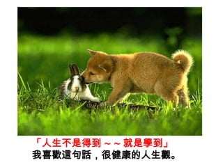 「人生不是得到∼∼就是學到」我喜歡這句話，很健康的人生觀。