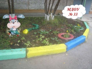 МДОУ №33 МДОУ   №   33 