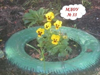 МДОУ №33 МДОУ   №   33 