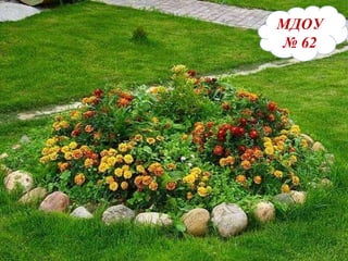 МДОУ №62 МДОУ   №   62 
