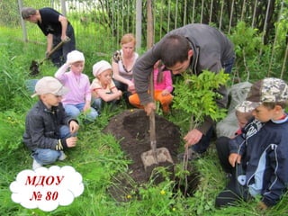 МДОУ №80 МДОУ   №   80 