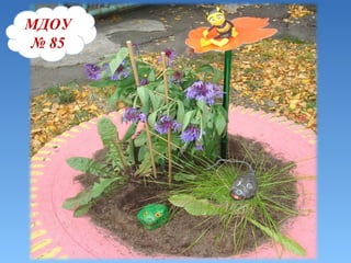 МДОУ 85 МДОУ №85 МДОУ   №   85 