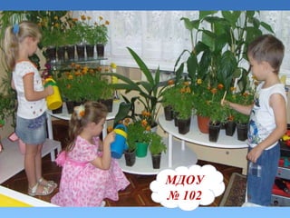 МДОУ №102 МДОУ   №   102 