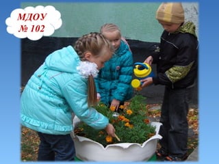 МДОУ 102 МДОУ   №   102 